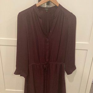 Silk Aritzia Dress